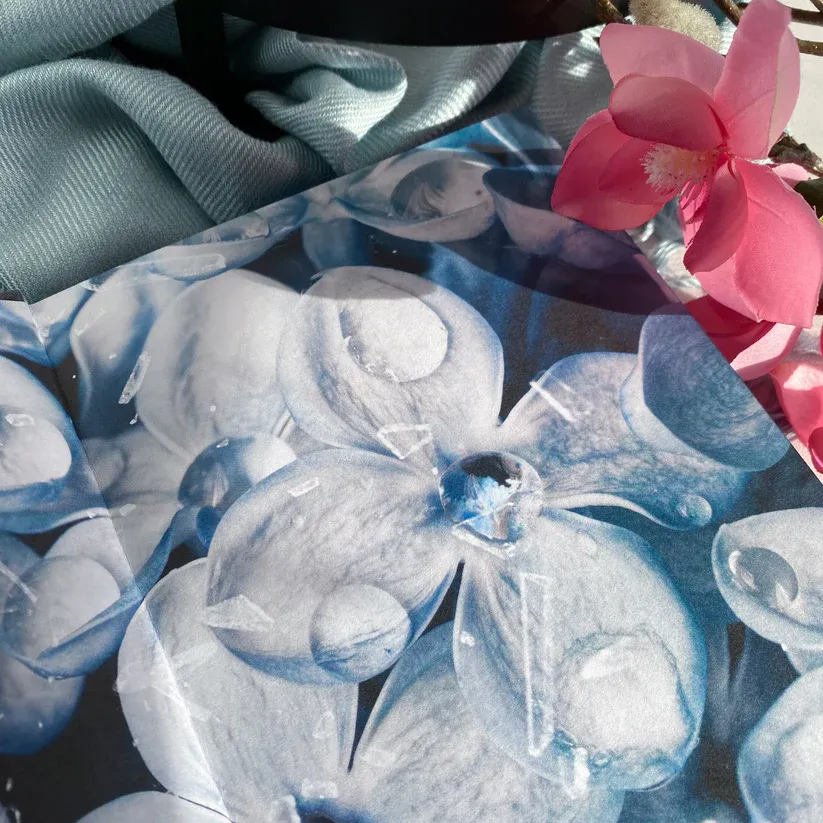 When She Unravels Baddies Book Box special edition photo 3